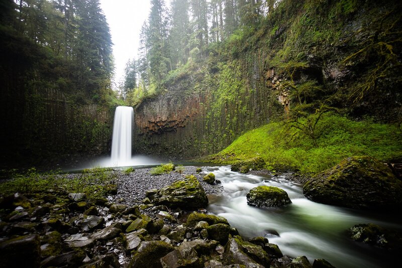Waterfall in Forest Canyon — Green, Serene, Morning, Photograph, River, Rocks, Moss