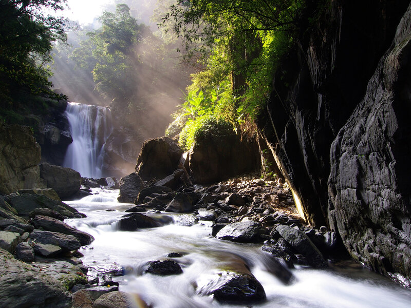 Waterfall in Forest Canyon — Green, Serene, Morning, Photograph, River, Rocks