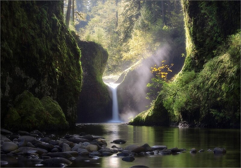 Waterfall in Forest Canyon — Green, Serene, Morning, Photograph, River