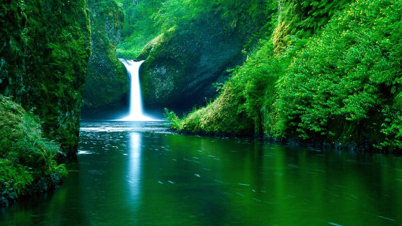 Waterfall in Forest Canyon — Green, Serene, Morning, Photograph, River, Trees, Blue, White
