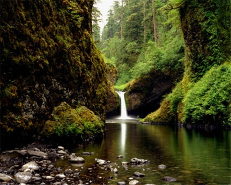Waterfall in Forest Canyon — Green, Serene, Morning, Photograph, River, Trees, Rocks, Brown