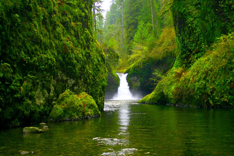 Waterfall in Forest Canyon — Green, Serene, Morning, Photograph, River, Trees, Rocks