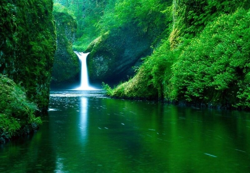 Waterfall in Forest Canyon — Green, Serene, Morning, Photograph, River, Trees