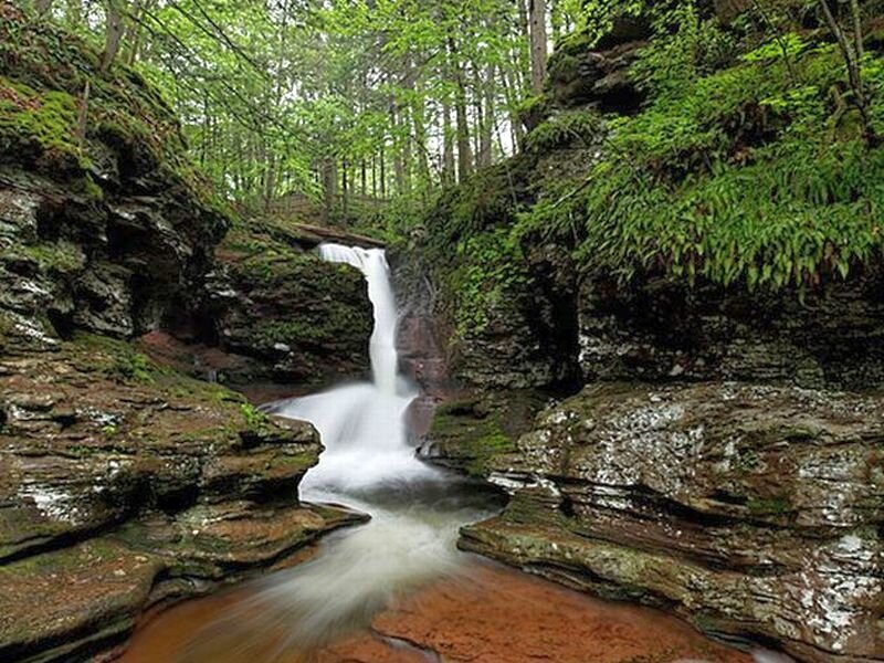 Waterfall in Forest Canyon — Green, Serene, Morning, Photograph, Rocks