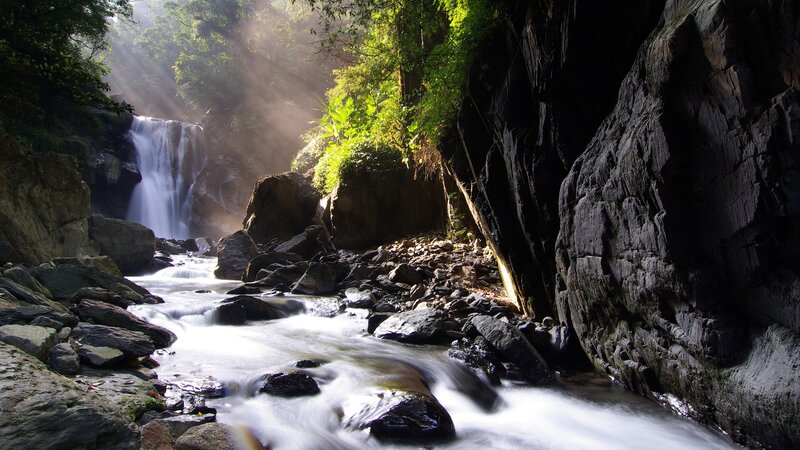 Waterfall in Forest Canyon — Green, Serene, Morning, Photograph, Stream