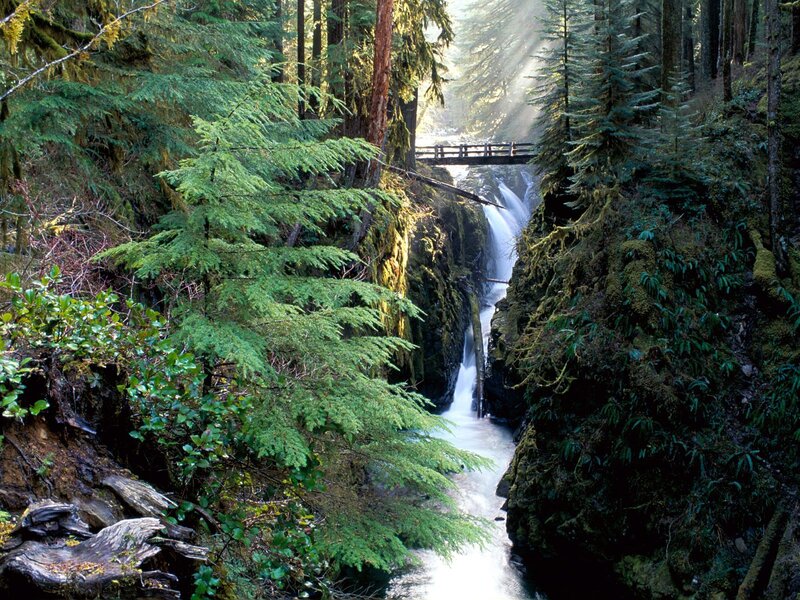Waterfall in Forest Canyon — Green, Serene, Morning, Photograph, Trees, Bridge