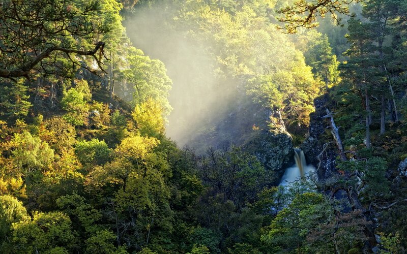 Waterfall in Forest Canyon — Green, Serene, Morning, Photograph, Trees, Mist, Rocks, Sunlight