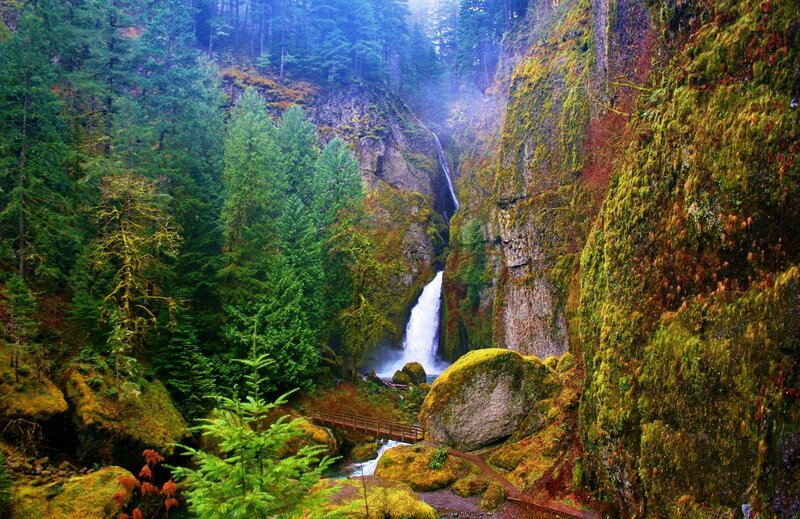Waterfall in Forest Canyon — Green, Serene, Morning, Photograph, Trees, Moss
