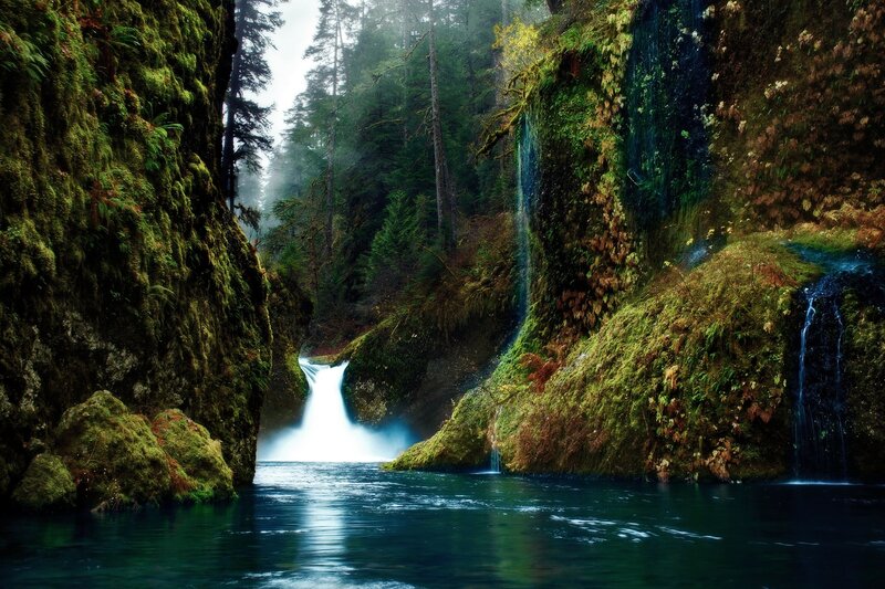 Waterfall in Forest Canyon — Green, Serene, Morning, Photograph, Trees, River, Moss, Blue