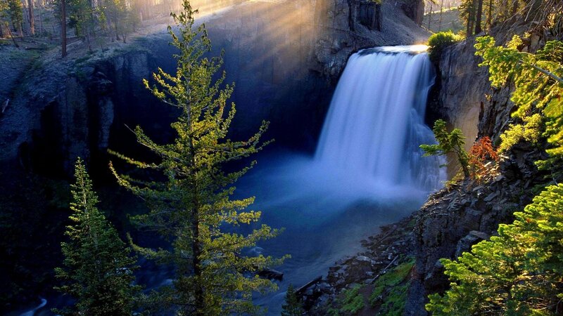Waterfall in Forest Canyon — Green, Serene, Morning, Photograph, Trees, Sunlight