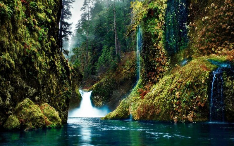 Waterfall in Forest Canyon — Green, Serene, Morning, Photograph, Trees