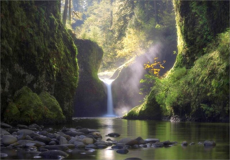 Waterfall in Forest Canyon — Green, Serene, Morning