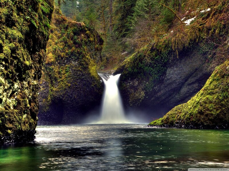 Waterfall in Forest Canyon — Green, Serene, Photograph, Mossy Rocks, Trees