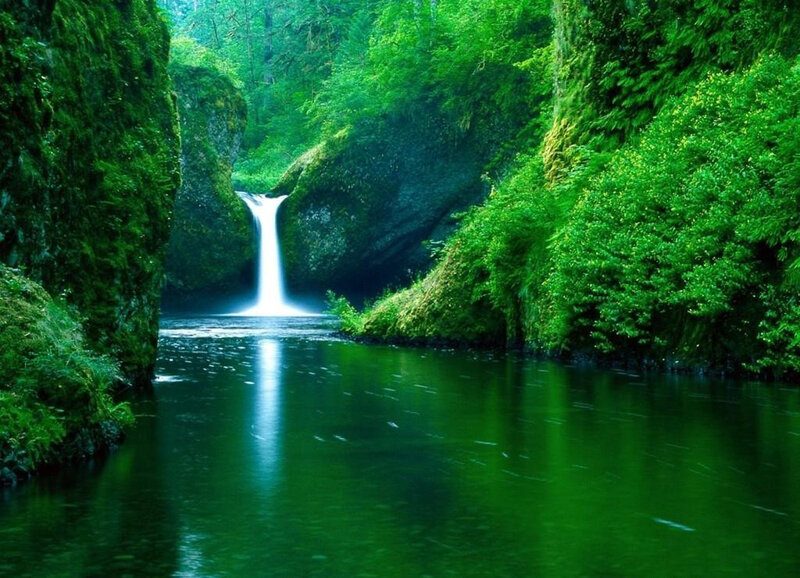 Waterfall in Forest Canyon — Green, Serene, Photograph, River, Trees