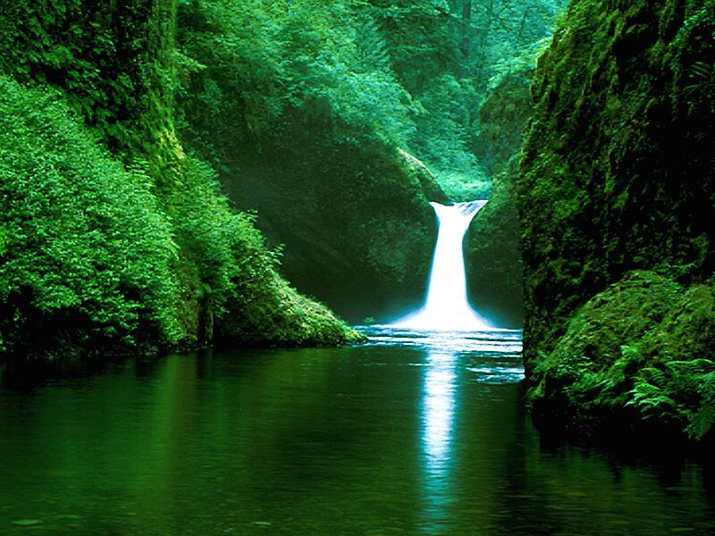 Waterfall in Forest Canyon — Green, Serene, Photograph, River, Trees, White, Black