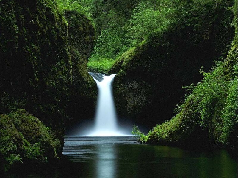 Waterfall in Forest Canyon — Green, Serene, Photograph