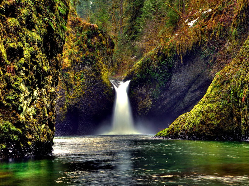 Waterfall in Forest Canyon — Green, Serene, Spring, Photograph