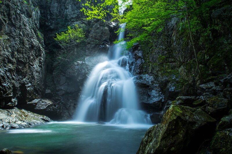 Waterfall in Forest Canyon — Green, Serene, Spring, Photograph, Trees, Rocks