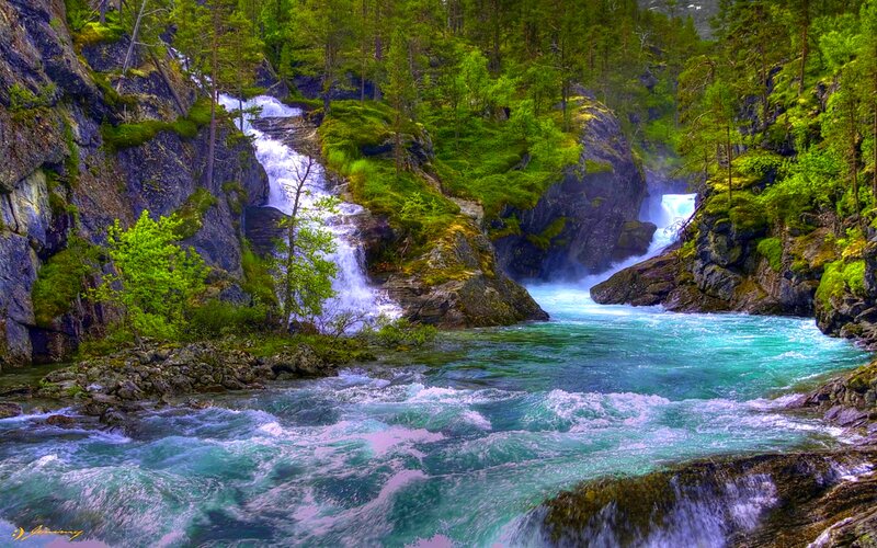 Waterfall in Forest Canyon — Green, Serene, Spring, Photograph, Trees