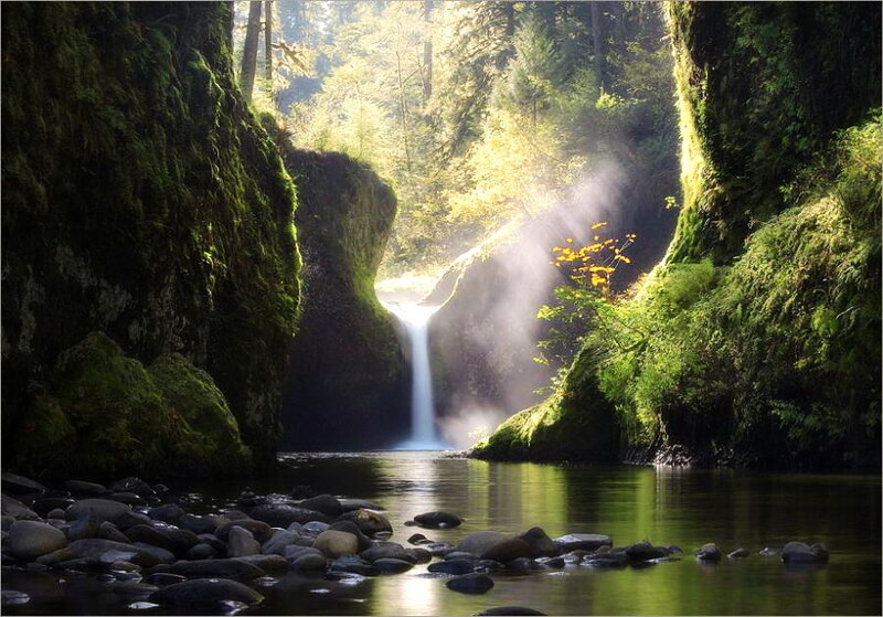 Waterfall in Forest Canyon — Green, Serene