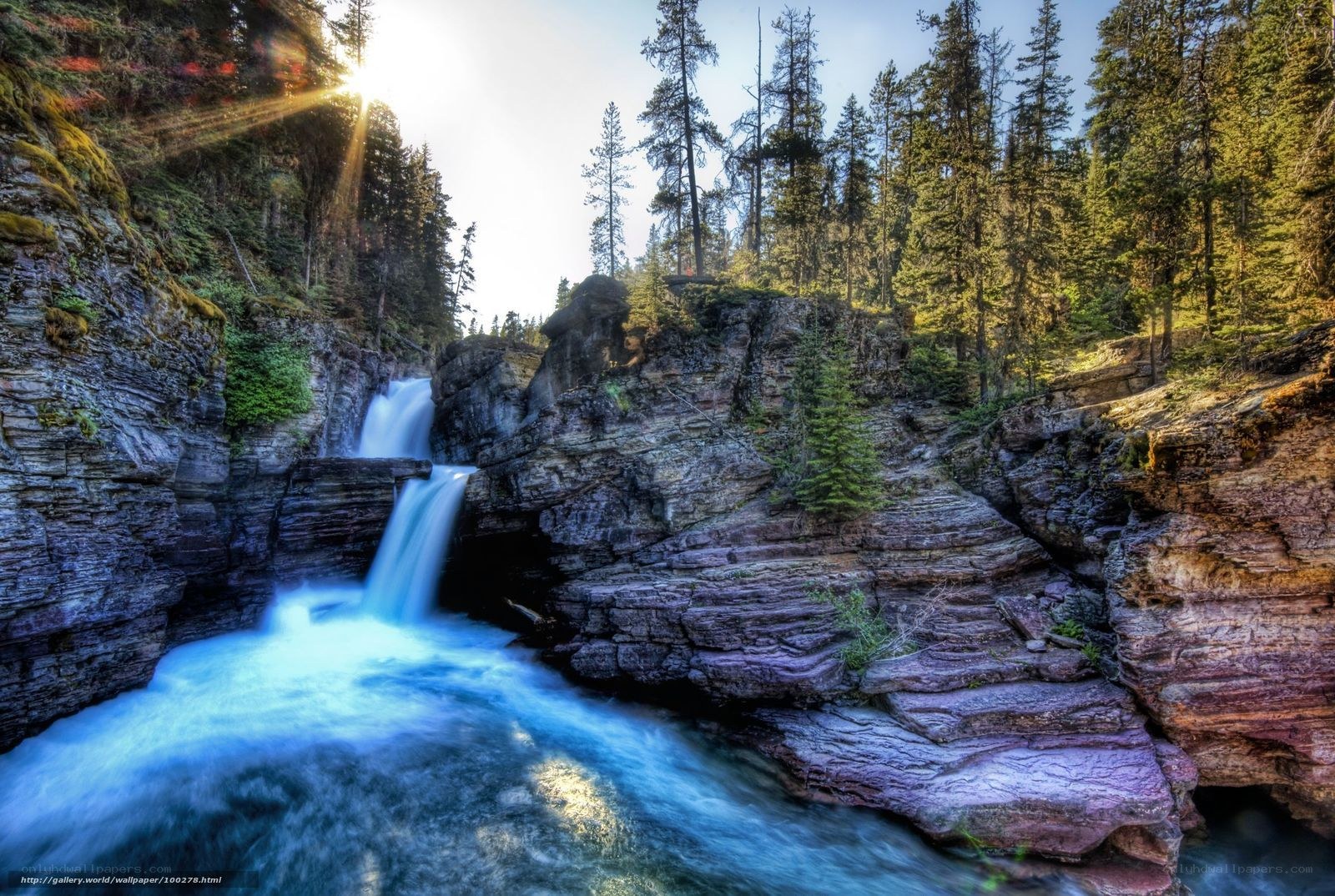 Waterfall in forest canyon