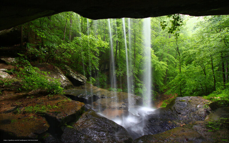 Waterfall in forest cave