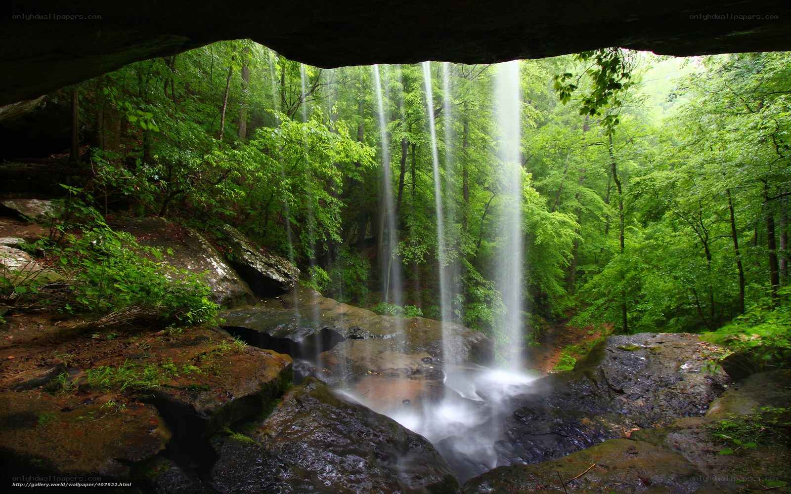 Waterfall in forest cave