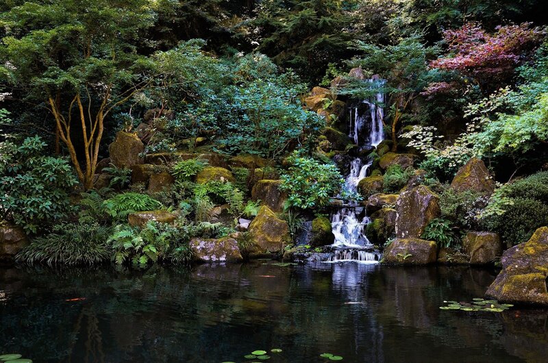 Waterfall in Forest Garden