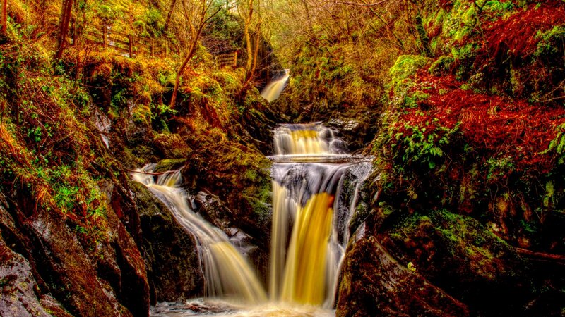 Waterfall in Forest Gorge — Green, Serene, Autumn