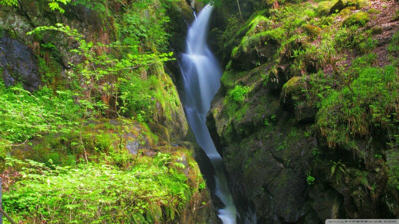Waterfall in Forest Gorge