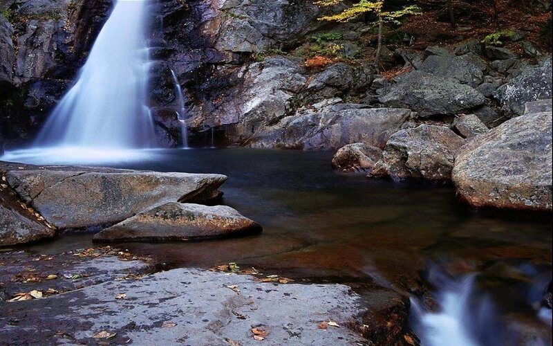 Waterfall in Forest — Gray, Serene