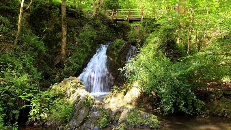 Waterfall in Forest — Green, Bridge