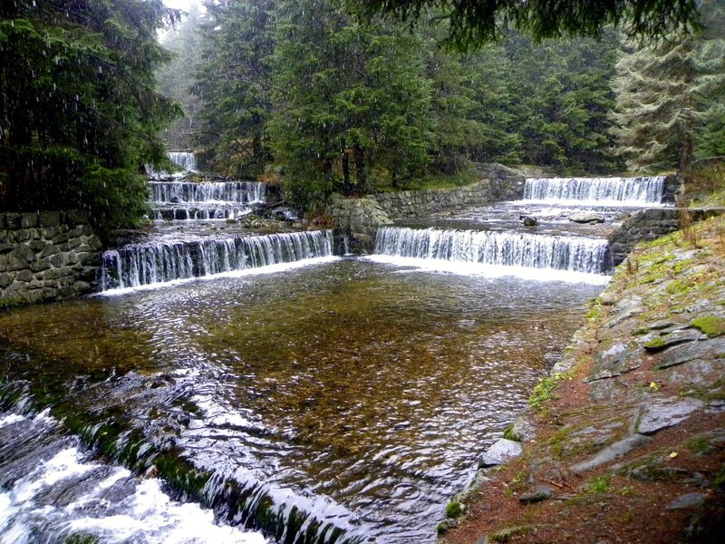 Waterfall in Forest — Green, Calm