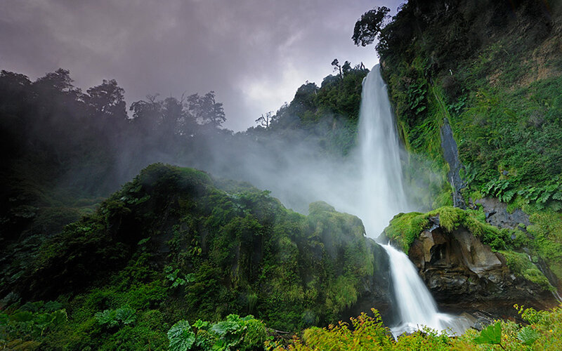 Waterfall in Forest — Green, Dramatic, Photograph, Trees, Moss