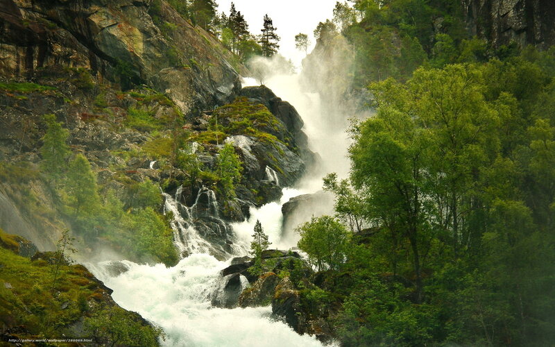 Waterfall in Forest — Green, Dramatic, Photograph, Trees, Rocks, River