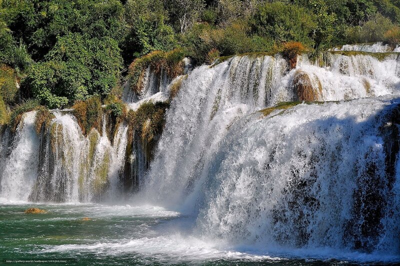 Waterfall in Forest — Green, Dynamic, Afternoon