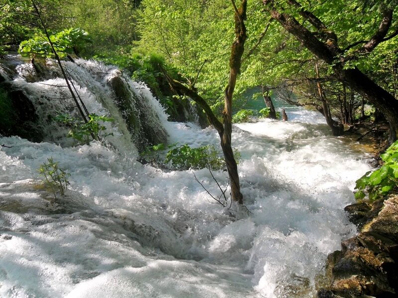 Waterfall in Forest — Green, Dynamic