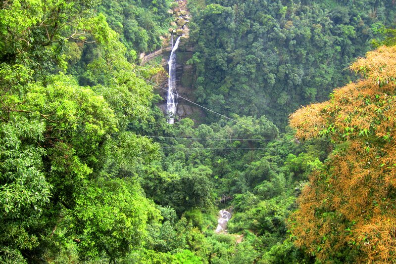 Waterfall in Forest — Green, Lush