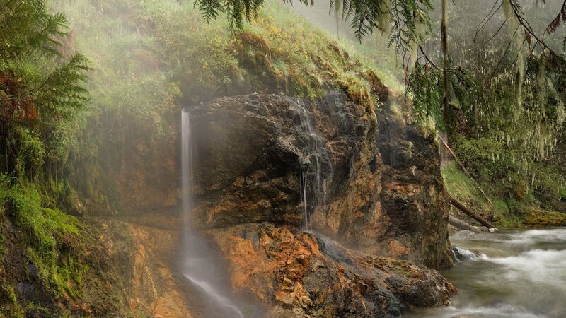 Waterfall in Forest — Green, Misty, Photograph