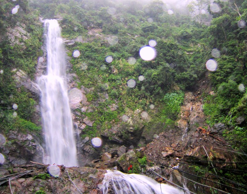 Waterfall in Forest — Green, Misty, Photograph, Trees, Rocks
