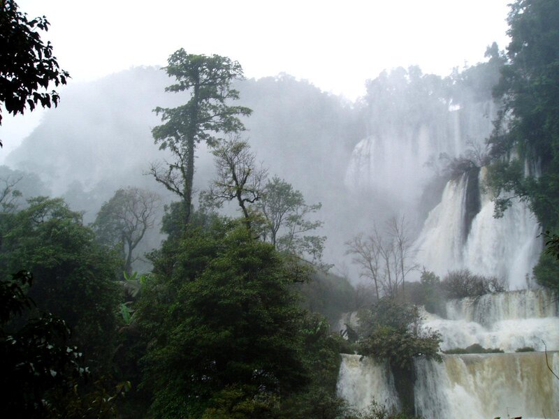 Waterfall in Forest — Green, Misty