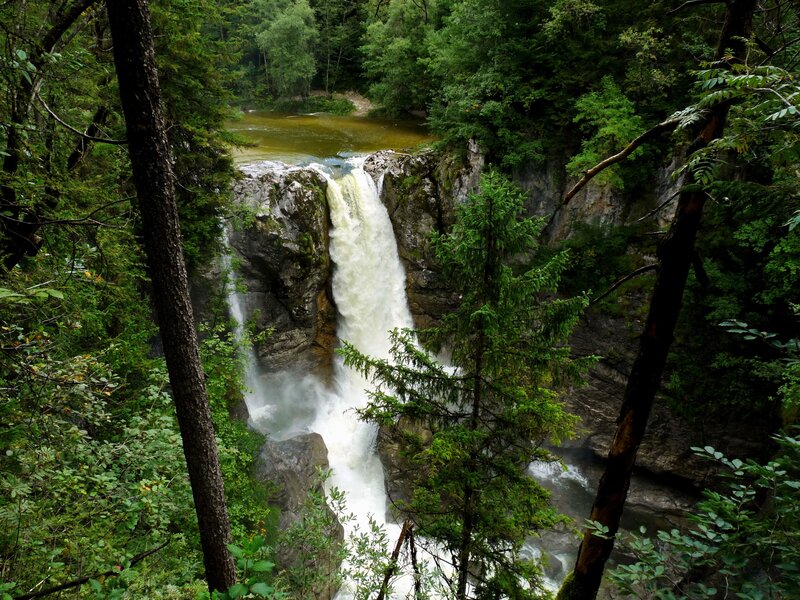 Waterfall in Forest — Green, Natural, Afternoon, Photograph, Trees, River, Rocks