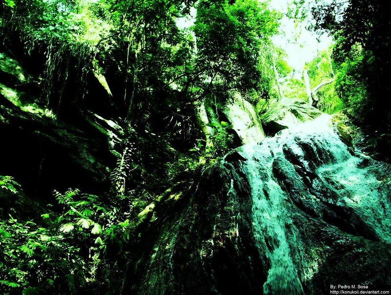 Waterfall in Forest — Green, Natural, Afternoon, Photograph, Trees, Rocks, Stream, White