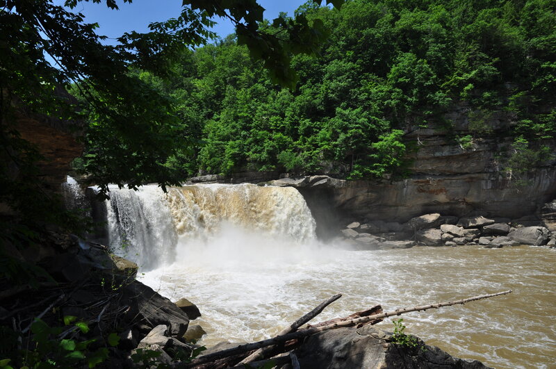 Waterfall in Forest — Green, Natural, Afternoon
