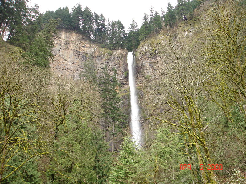 Waterfall in Forest — Green, Natural, Autumn, Photograph