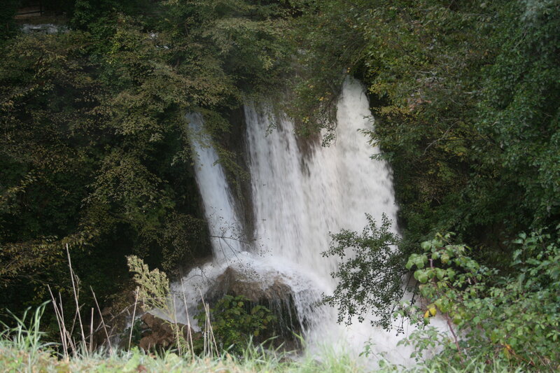 Waterfall in Forest — Green, Natural, Autumn