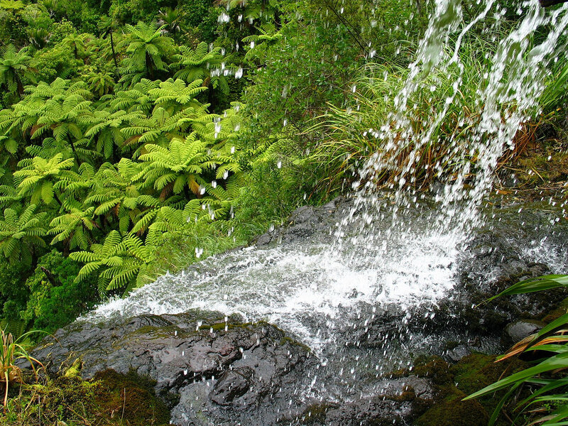 Waterfall in Forest — Green, Natural, Photograph, Rocks