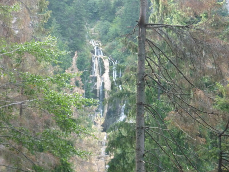Waterfall in Forest — Green, Natural, Photograph