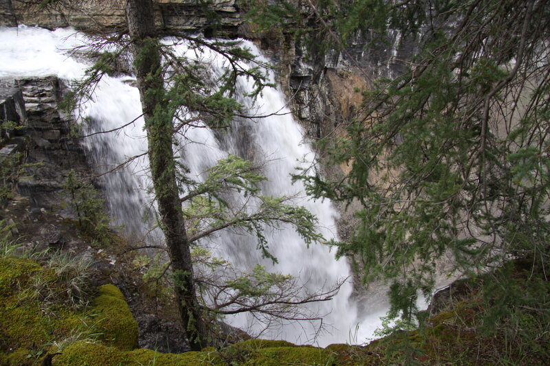 Waterfall in Forest — Green, Natural, Photograph, Trees, Rocks, Moss
