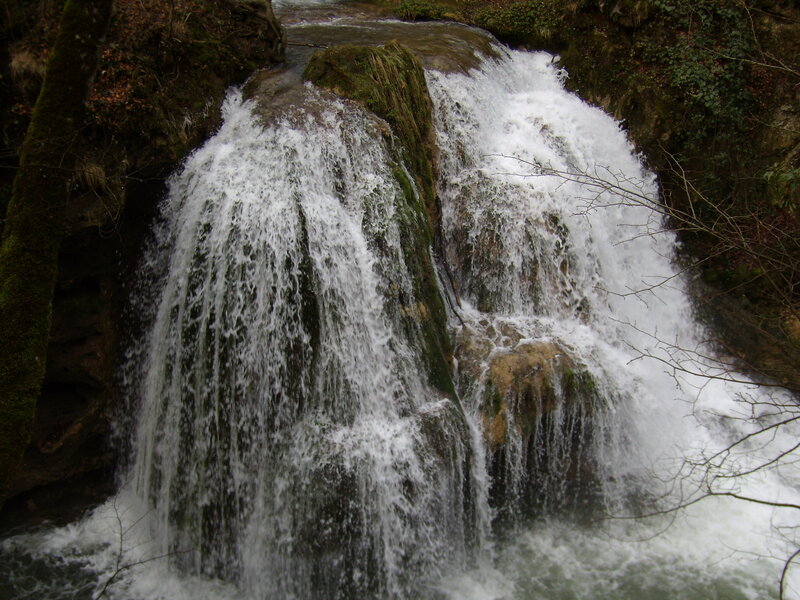 Waterfall in Forest — Green, Natural, Photograph, Trees, Rocks, River, White, Brown